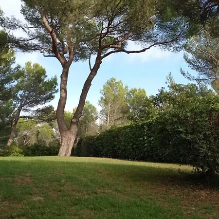 Terrasses Sous Les Pins *