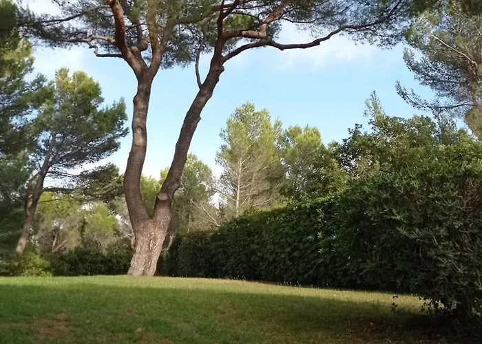 Terrasses Sous Les Pins *